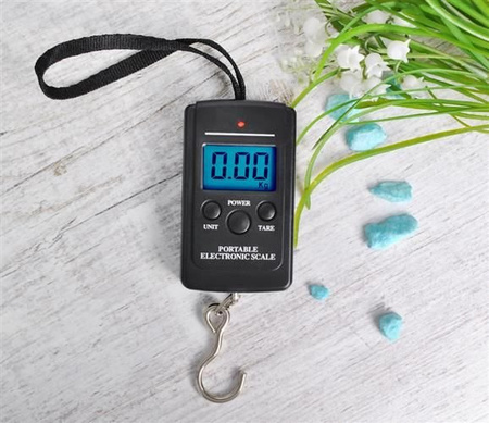 Waga Wędkarska Karpiowa Elektroniczna Hakowa Bagażowa 40kg