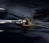 Strzałówka Leader Mono Żyłka Strzałowa 0.6mm 50lb 110m 22,7kg Przezroczysta