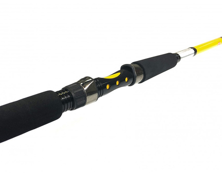 ZFISH Wędka Kodiak 2,4m / 100-250g