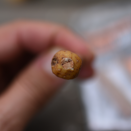 Wiertło Do Balansowania Przynęt 6mm Undercarp